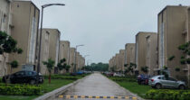 Puri Lavender Floors