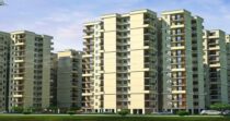 Auric Affordable 1 BHK
