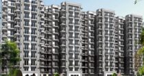 Auric Affordable 1 BHK