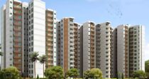 Adore Samriddhi 2BHK