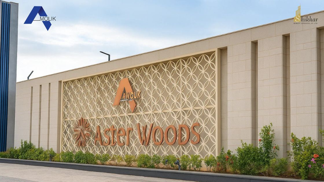 Aerial view of Amolik Asterwood Sector 98 showing well-planned layouts and organised township of premium plots in Faridabad.