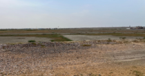 DMX Urban Greens – Premium Plots on Delhi Mumbai Expressway