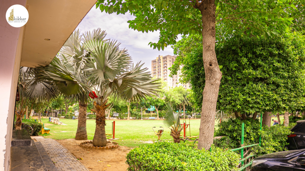Lifestyle amenities and clubhouse at RPS Palms
