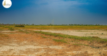 DMX Urban Greens – Premium Plots on Delhi Mumbai Expressway