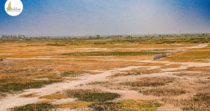 DMX Urban Greens – Premium Plots on Delhi Mumbai Expressway
