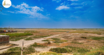 DMX Urban Greens – Premium Plots on Delhi Mumbai Expressway