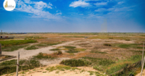 DMX Urban Greens – Premium Plots on Delhi Mumbai Expressway