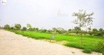 Adore Smart City, Sector 97, Faridabad