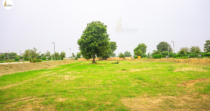 Adore Smart City, Sector 97, Faridabad